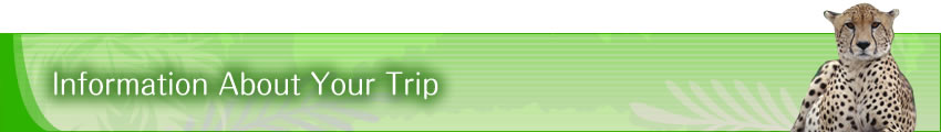 Information About Your Trip