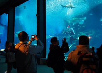 マリンワールド海の中道見学