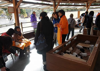 海の中道海浜公園・動物の森見学