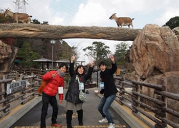 到津の森公園見学